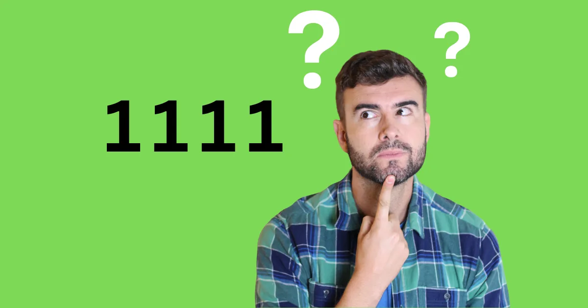 What to Do When Seeing 1111