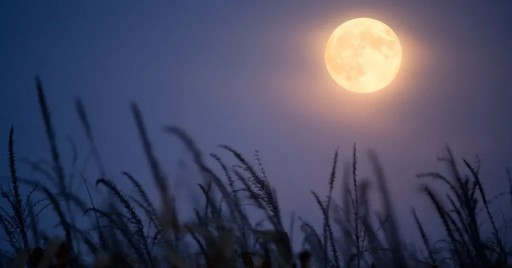 Ancient Harvest Moon Rituals and Offerings