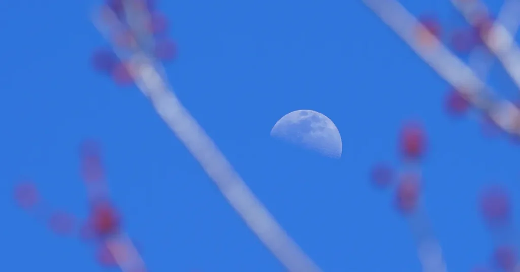 Examples of Transformative Daytime Moon Sightings