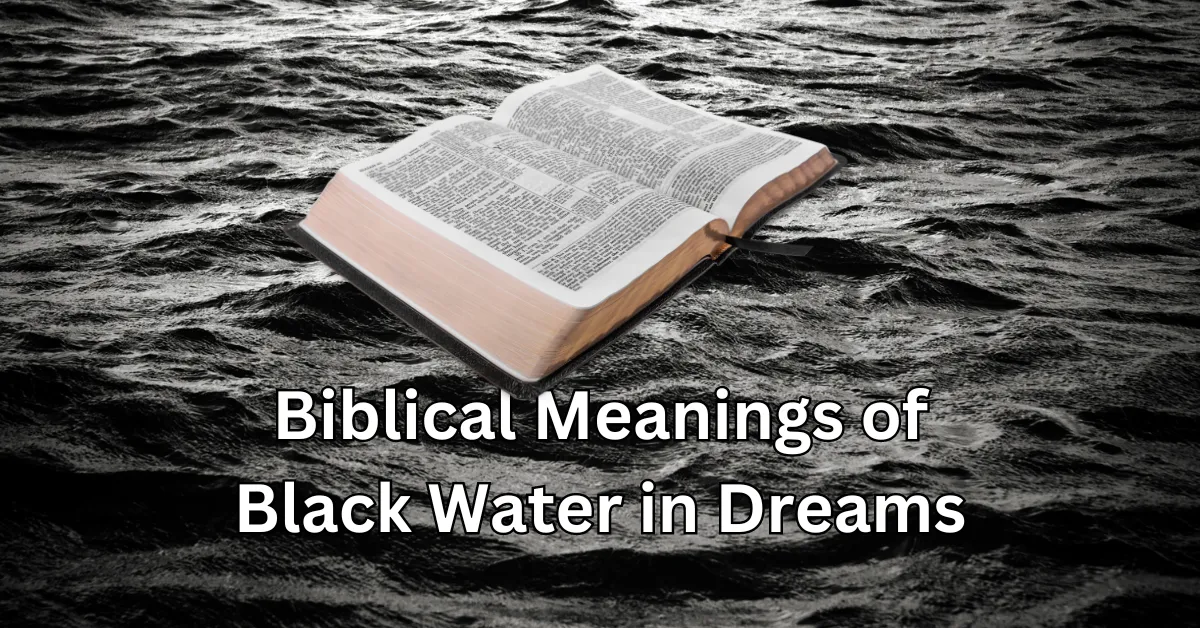 Biblical Meanings of Black Water in Dreams