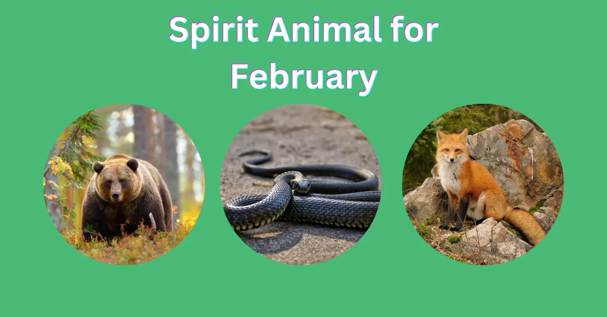 February Spirit Animal