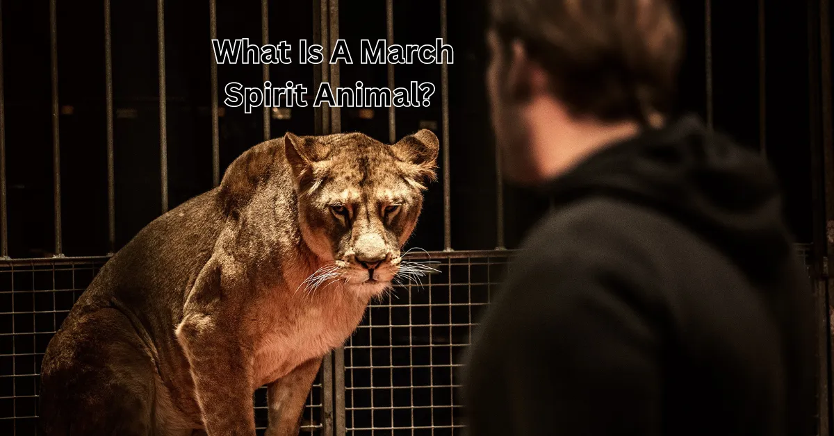 What Is A March Spirit Animal